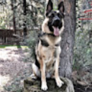 Meet your Posher, Vickie